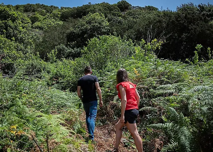 فيلة Montevistas Retreat- Cycling, Hiking, Relaxation, 25 Minutes فالنسيا